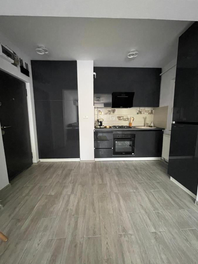 Timisoara Central Apartment New Parking !! ภายนอก รูปภาพ
