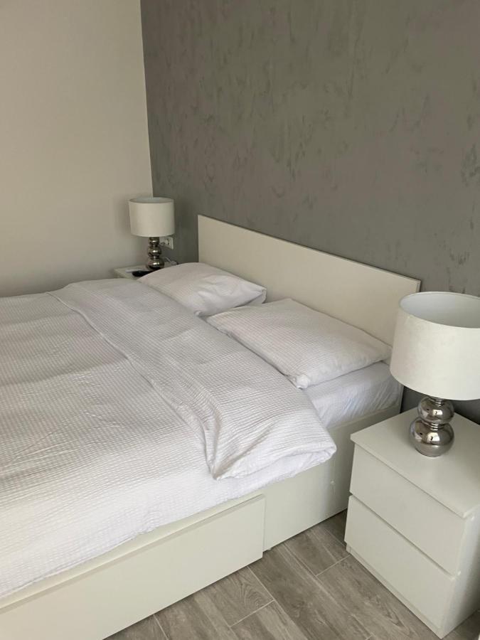 Timisoara Central Apartment New Parking !! ภายนอก รูปภาพ