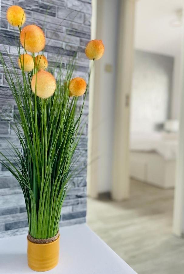 Timisoara Central Apartment New Parking !! ภายนอก รูปภาพ